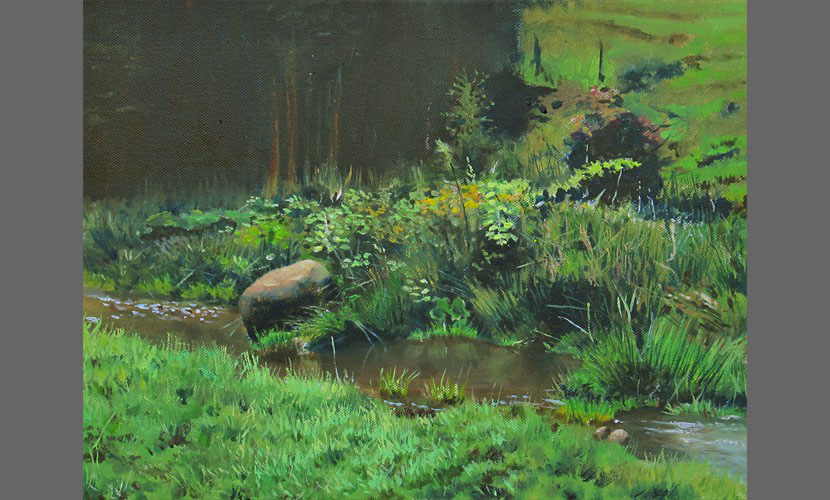 Riachuelo - 2013
